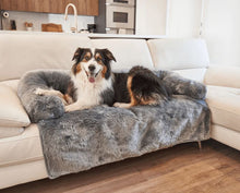 an autralian sheppered laying on the couch with grey fluffy couch lounger in a modern living room with kitchen