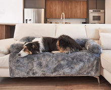 a border colie laying on the white couch with a grey dog couch lounger in a modern kitchen