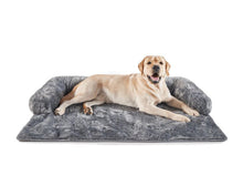 a labradr retriever laying on a grey couch lounger with white background