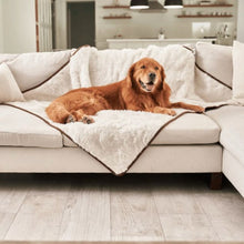 a smiling golden retriever laying on top of a white couch with a white dog blanket in an all white modern living room