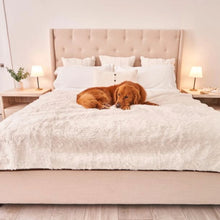 a golden retriever sleeping on the bed with white dog blanket in an all white themed modern bed room