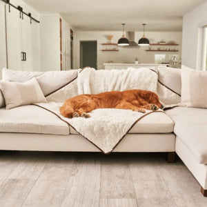 a golden retriever sleeping on the couch with white dog blanket in an all white modern living room with kitchen
