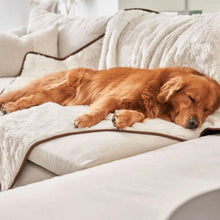 a golden retriever sleeping on a white couch with on a white dog blanket in an all white modern living room