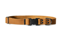Sport Style Leather Dog Collar