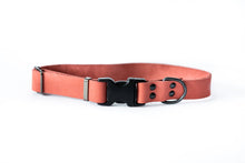Sport Style Leather Dog Collar