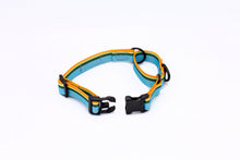 Outdoor Style All Nylon Martingale Collar