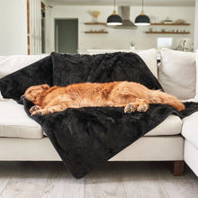 a golden retriever sleeping on a white couch with balck furry dog blanket on a modern living room setting with kitchen 