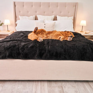 a golden retriever laying on the bed with black furry dog blanket in a modern bedroom setting with bedside drawers and lamps 