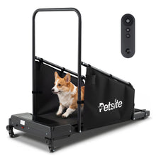 Dog Treadmill with Remote Control and LCD Display