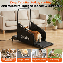 Dog Treadmill with Remote Control and LCD Display