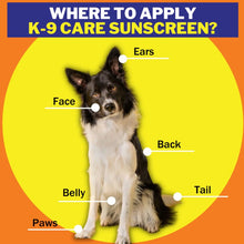 An image of a border collie sitting and instructions on where to apply the Epi-Pet Sun Protector Sunscreen,