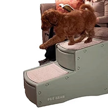 a tiny fluffy dog descending a grey two step dog stair next to a woman sitting on a brown couch reading a book with white background 