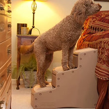 a toy poodle standing on a three step chocolate colored dog stair next to a medieval themed bed