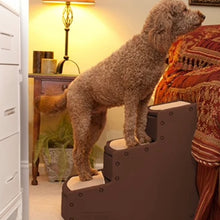 a toy poodle standing on a three step chocolate colored dog stair next to a medieval themed bed 