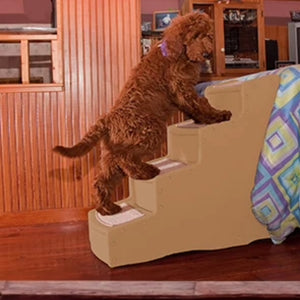 A toy poodle climbing a four step dog stair next to a bed and a television
