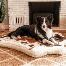 a border collie laying on a fluffy dog bed printed in brown cow hide next to a fireplace with a potted plant 