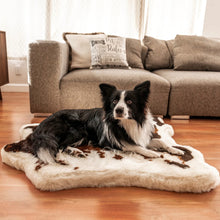a border collie laying on a fluffy dog bed with brown cowhide print on the floor next to a grey couch 