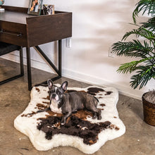 a french bulldog on the floor next to a wooden desk with a picture of a couple laying on a fluffy dog bed with cowhide print