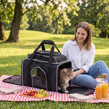 Rolling Pet Carrier with Wheels for Cats and Small Dogs