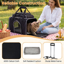 Rolling Pet Carrier with Wheels for Cats and Small Dogs