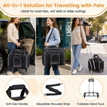 Rolling Pet Carrier with Wheels for Cats and Small Dogs