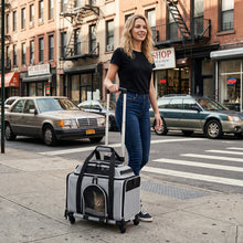 Rolling Pet Carrier with Wheels for Cats and Small Dogs