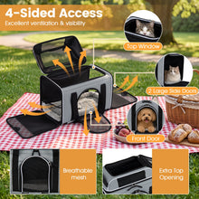 Rolling Pet Carrier with Wheels for Cats and Small Dogs