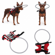 Blind Dog Halo Harness – Lightweight Anti-Collision Bumper for Visually Impaired Dogs