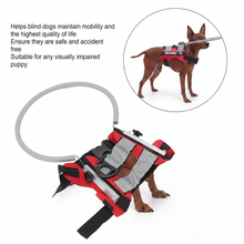 Blind Dog Halo Harness – Lightweight Anti-Collision Bumper for Visually Impaired Dogs