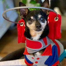 A blind chihuahua wearing a red dog halo on a colorful dog shirt