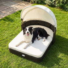 Rattan Pet Daybed with Adjustable Canopy for Small & Medium Dogs
