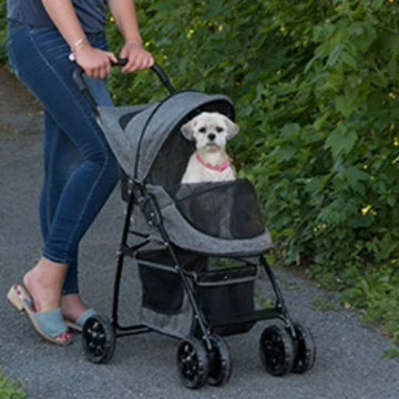 a cute white fluffy dog inside a grey stroller being pushed by a woman on the path walk next to some green leafy plants