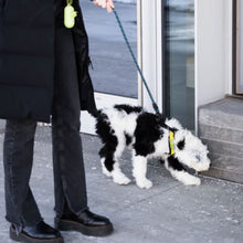 a lady in black walking her dog on the streets wearing an yellow dog harness sniffing on the stairs