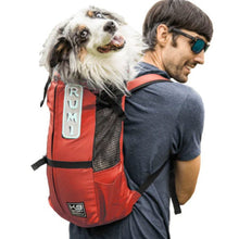 a man in grey wearing sunglasses carrying his dog on his back in a red dog backpack carrier