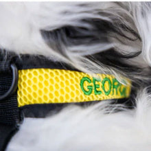 close up image of a yellow dog harness with an embroided name of gearge
