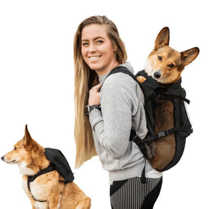 a lady carrying her dog on her back through a black dog harness and carrier next to another dog wearing a black dog backpack