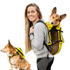 a lady carrying her dog on her back through a yellow dog harness and carrier next to another dog wearing a yellow dog backpack