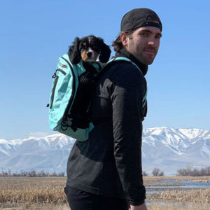 a man wearing black cap and black jacket carrying his dog in a light blue dog backpack carrier on hiking 