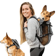 a lady carrying her dog on her back through a grey dog harness and carrier next to another dog wearing a grey dog backpack