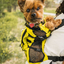 a close up image of a tiny dog walking in the woods being carried in a yellow dog backpack harness