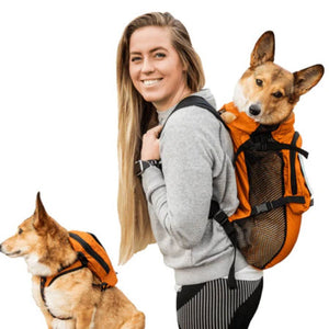 a lady carrying her dog on her back through an orange dog harness and carrier  next to another dog wearing an orange dog backpack 