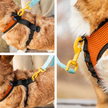 collage close up image of a dog wearing an orange dog harness with yellow safety lock  in a blue leash