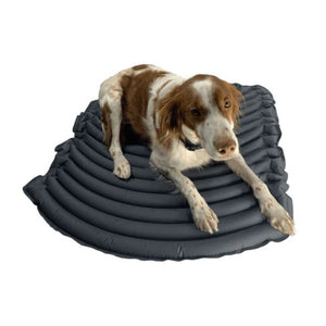 Close up image of a dog laying on an inflatable dog bed 