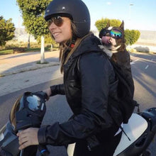 a lady riding a motorcycle wearing a helmet with her dog on her back wearing a dog sports googles sticking his tongue out 