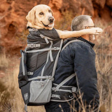 an old man wearing glasses carrying his dog on his back in a balck dog backpack carrier hiking 