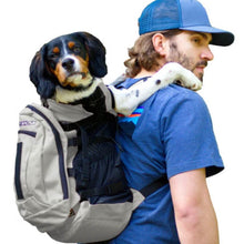 a man wearing blue cap carrying his dog on his back in a grey dog backpack carrier