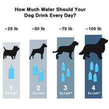 a chart of how many bottles of water is needed by a dog based on it's size and weight 