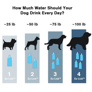 a chart of how many bottles of water is needed by a dog based on it's size and weight 