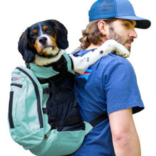 a man wearing blue cap carrying his dog on his back in a light blue dog backpack carrier