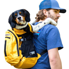 a man wearing blue cap carrying his dog on his back in a yellow dog backpack carrier